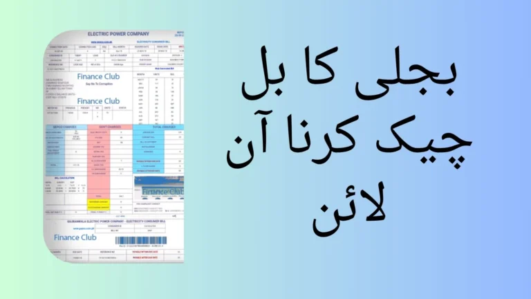 بجلی کا بل چیک کرنا آن لائن