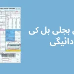 آن لائن بجلی بل کی ادائیگی