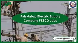 How to Apply for a Job at FESCO (Faisalabad Electric Supply Company) 2 download 4